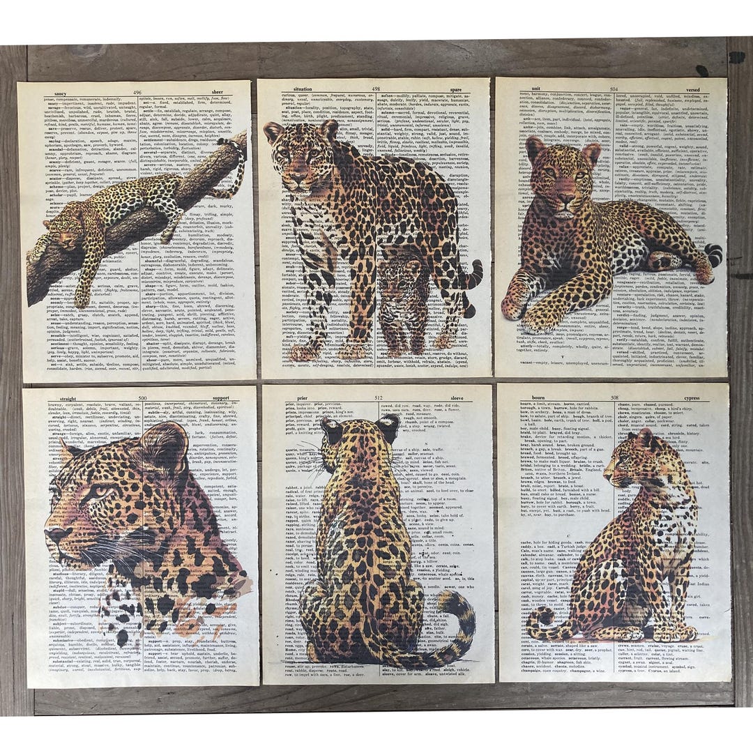Leopard Dictionary Cheetah Themed Dictionary Prints - Leopard Print - Dictionary Page Art ...