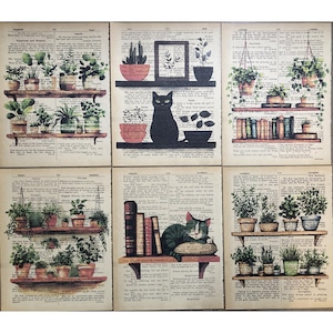 Puede incluir: Seis imágenes de collage de páginas de libros antiguos con ilustraciones de gatos, plantas y libros en estanterías. El texto en las páginas es visible e incluye las palabras "Happiness and Wisdom", "Fairy Land", "The Free Ingredient in Composition", y "The Nature of Youth".