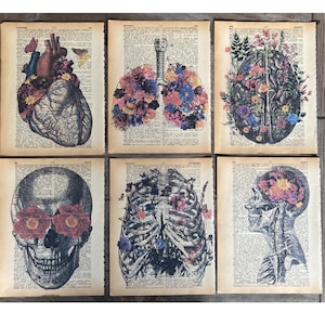 Anatomy Themed dictionary prints - 6 piece set - Floral Anatomy Print, Art on dictionary page - printed on vintage dictionary pages #1476