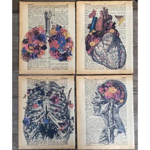 Anatomy Themed dictionary prints - 4 piece set - Floral Anatomy Print, Art on dictionary page - printed on vintage dictionary pages #1476