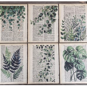 Plant Themed dictionary prints - 6 piece set - Watercolor Plant print, Art on dictionary page - printed on vintage dictionary pages #996
