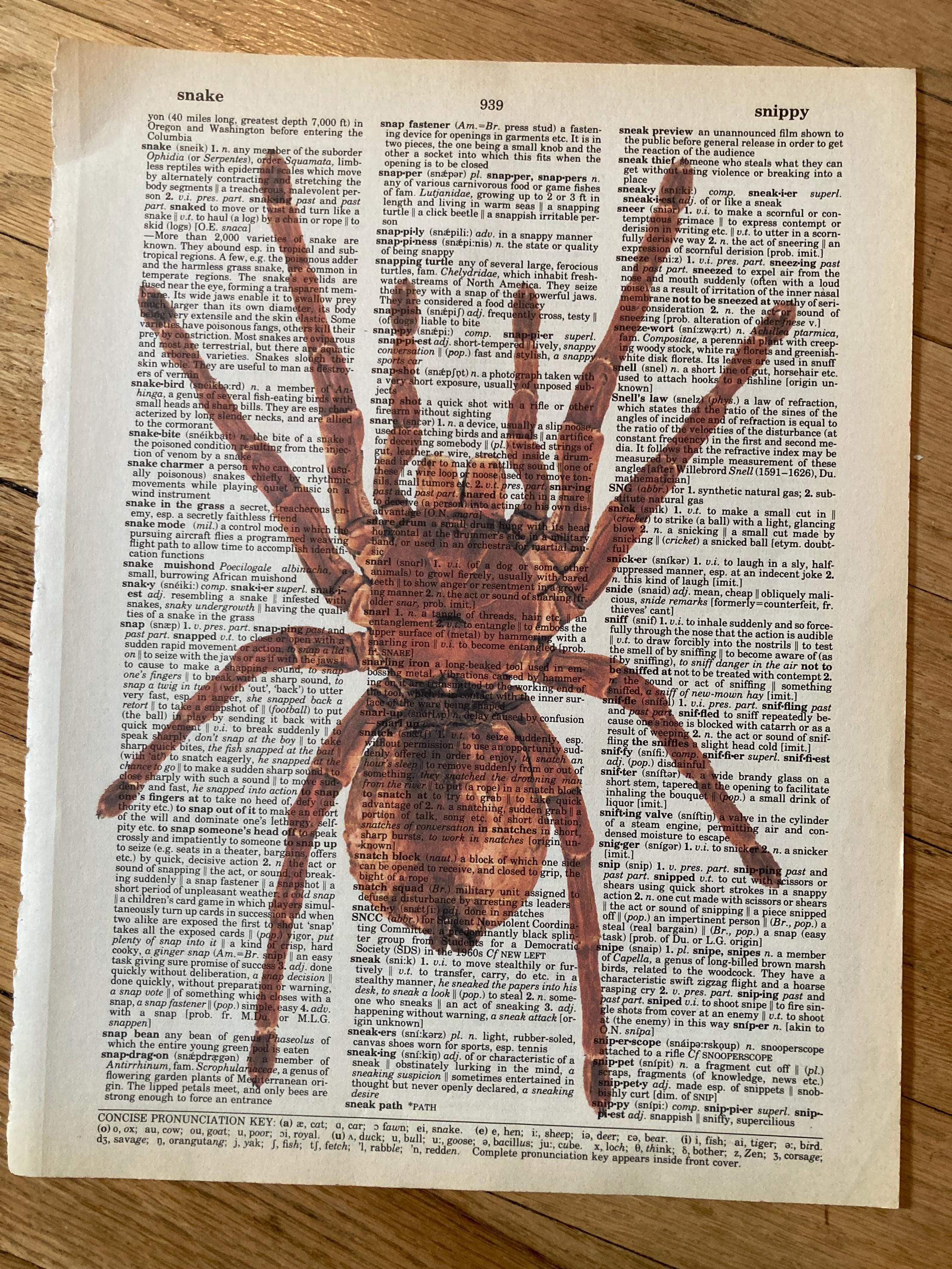 Bug/insect Themed Themed Dictionary 6-piece Print Set- Bug Art ...