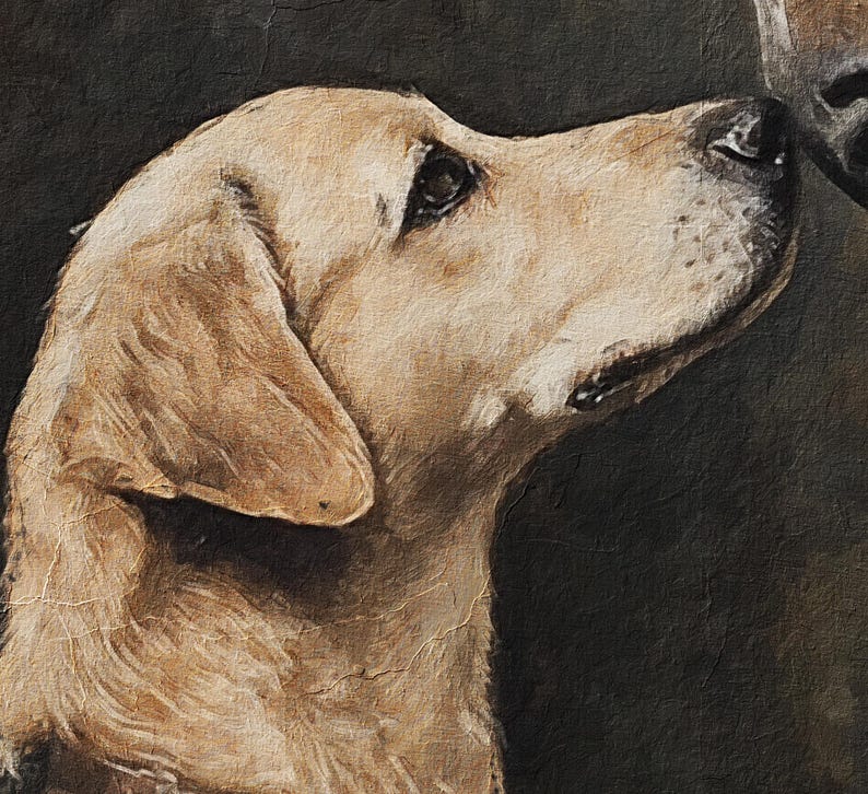 May include: A close-up of a golden retriever dog's head, looking to the right, with its mouth closed and ears perked up. The dog's fur is light brown and has a soft, textured look.