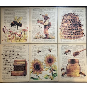 May include: Six vintage book pages with bee and honey themed illustrations. The pages feature a beehive, a bee, sunflowers, a jar of honey, and a honey dipper. The text on the pages is from classic literature.