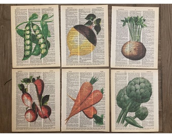 Vegetables themed dictionary print set #833-839 - 6-piece set - vegetables Art - printed on upcycled vintage dictionary pages
