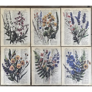 May include: Six vintage-style prints featuring pressed flowers on a background of old book pages. The flowers are arranged in bouquets and include lavender, yellow wildflowers, and blue flowers.