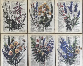 May include: Six vintage-style prints featuring pressed flowers on a background of old book pages. The flowers are arranged in bouquets and include lavender, yellow wildflowers, and blue flowers.