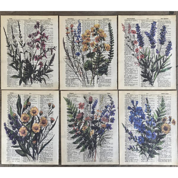 Wild flowers themed dictionary print set - Floral Dictionary Art  - Botanical Wall Decor - printed on upcycled vintage dictionary pages#1401