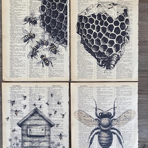 May include: Four vintage dictionary pages with black and white illustrations of honeycombs and bees. The pages include text from the dictionary, such as "idiotype", "anaphoric", "paraneoplastic", and "perspiration".
