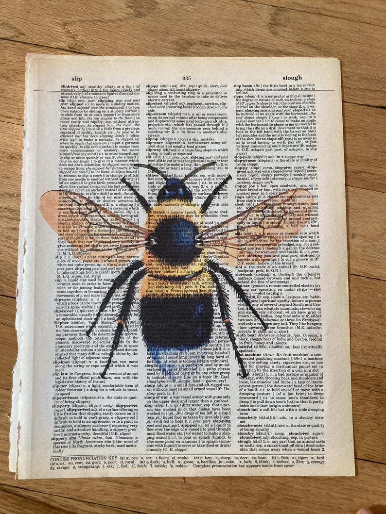 Bug/insect Themed Themed Dictionary 6-piece Print Set- Bug Art ...