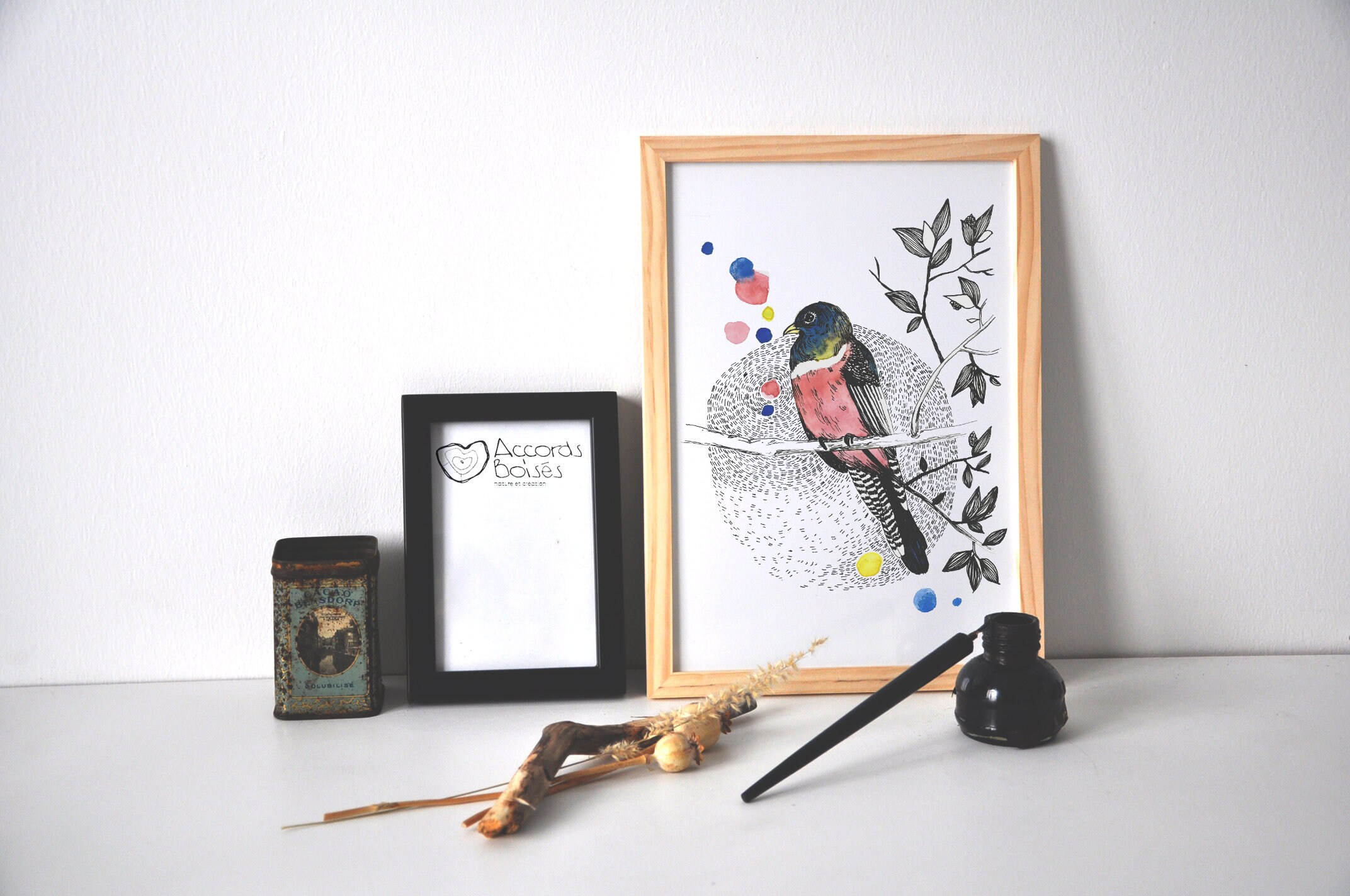 Affiche Pour Décoration Murale - Trogon A4