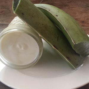Organic Aloe Vera Moisturizing Cream - Plastic Free - Waste Free