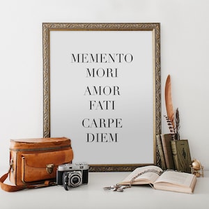 Memento Mori Amor Fati Carpe Diem Printable Stoic Philosophy Motivational Poster Inspirational Art Home Decor Minimalist Quote Fate Life