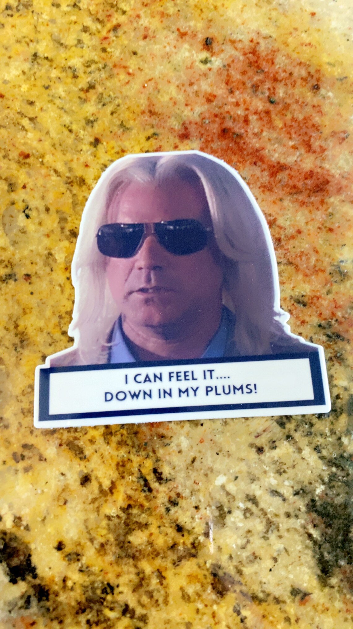 Eastbound and Down Will Ferrell I Can Feel It Down in My Plums Waterproof Vinyl Large Sticker