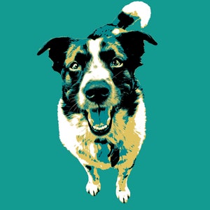 Può includere: Un cane bianco e nero con una macchia bianca sulla testa, che guarda la telecamera a bocca aperta. Il cane è in piedi su uno sfondo turchese e il nome "CHARLIE" è scritto in lettere bianche sotto il cane.