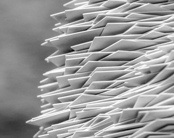 Fine Art Photography, Abstract Art, Black and White Print, Wall Art, Home Decor, Note Cards, Index Cards, 5 x 7 Print, Teacher Gift