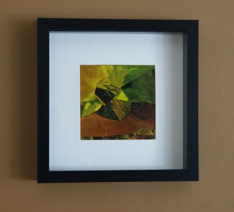 Fine Art Photography Abstract Art Macro Photography Wall Etsy