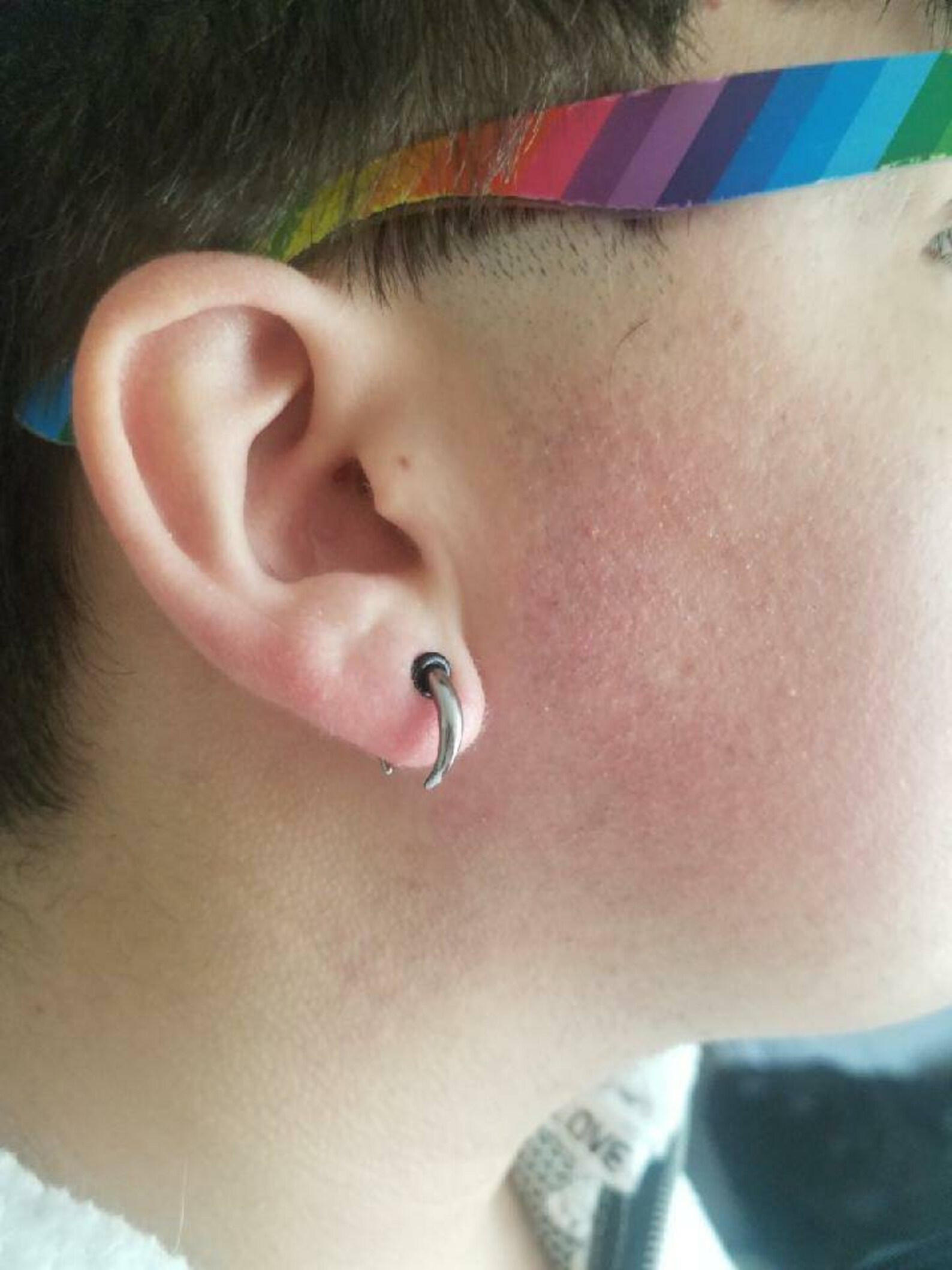 Rainbow Tusk/pincher Gauged Earring Septum Hoop 316L Body Etsy