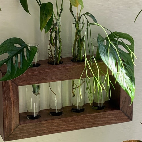 Wooden Ball Plant Holder Test Tube Propagation Planter, Size: 2.2 At Rs 200/piece In Jaipur