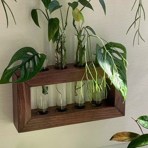 Wooden Propagation Station for Plants