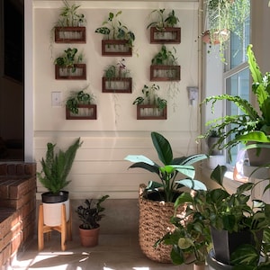 Plant Propagation Station, Gift for Plant Lovers, Wooden Wall Mounted Cutting Propagator image 7