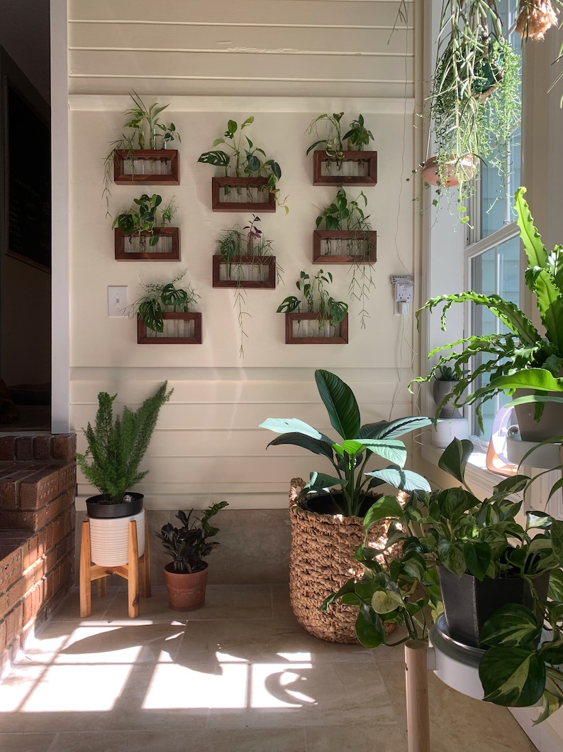 Plant Propagation Station, Gift for Plant Lovers, Wooden Wall Mounted Cutting Propagator image 7