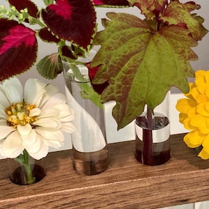 Plant Propagation Station, Gift for Plant Lovers, Wooden Wall Mounted Cutting Propagator image 6