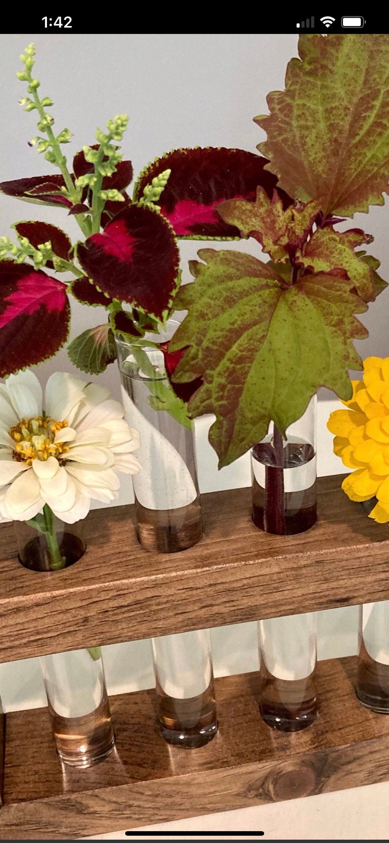 Plant Propagation Station, Gift for Plant Lovers, Wooden Wall Mounted Cutting Propagator image 6