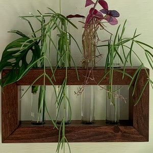 Plant Propagation Station, Gift for Plant Lovers, Wooden Wall Mounted Cutting Propagator image 4