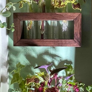 Plant Propagation Station, Gift for Plant Lovers, Wooden Wall Mounted Cutting Propagator image 3