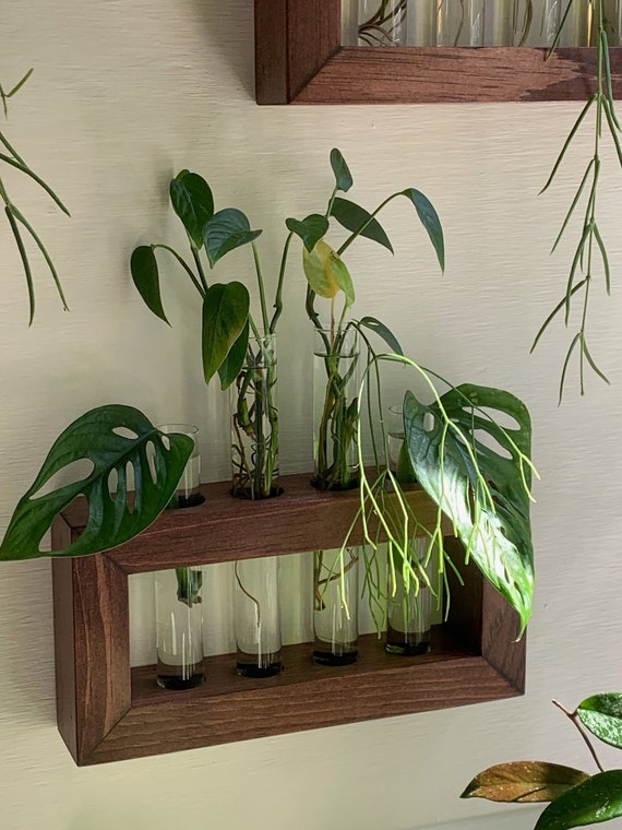 Plant Propagation Station, Gift for Plant Lovers, Wooden Wall Mounted Cutting Propagator