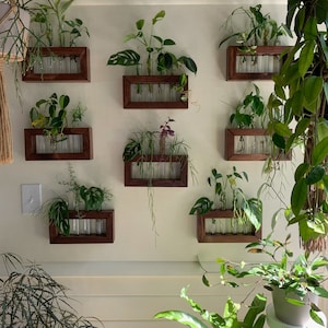 Plant Propagation Station, Gift for Plant Lovers, Wooden Wall Mounted Cutting Propagator image 5