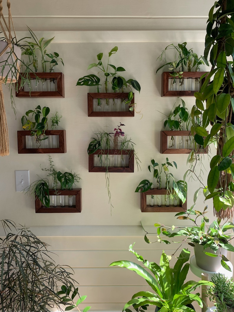 Plant Propagation Station, Gift for Plant Lovers, Wooden Wall Mounted Cutting Propagator image 5