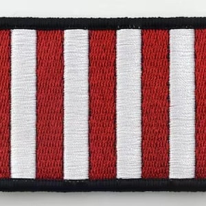 Sons of Liberty patch 3&quot;x2&quot; inches Hook and Loop backing