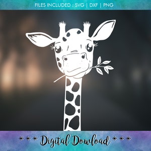 Könnte beinhalten: Eine weiße Silhouette einer Giraffe mit einem gefleckten Hals, die nach links schaut und ein Blatt von einem Zweig frisst. Die Giraffe hat große Augen und einen freundlichen Ausdruck.