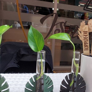 May include: Three green plants in glass test tubes are displayed in black and green monstera leaf-shaped holders. The holders are on a wooden surface.