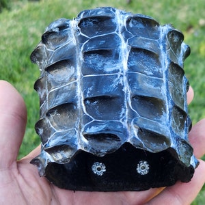 Custom Fit Alligator Leather Cuff Bracelet: Rustic Horn Back Wristband