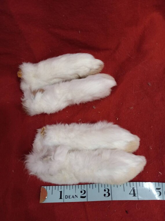 Humanely Raised Rabbit Feet 2 Pieces Treated Dried. Large - Etsy