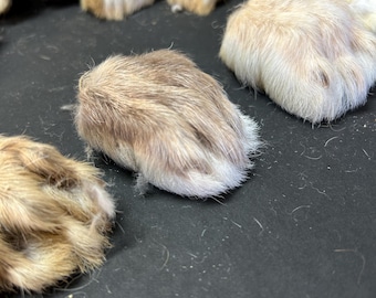 Shaped Back Rabbit feet from humanely raised rabbits. Washed, preserved, dried.