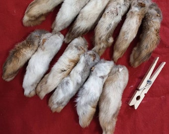 Humanely raised Rabbit Feet  10 pieced, treated, dried. Large back feet.