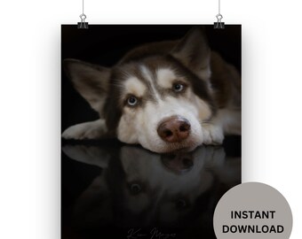 Siberian Husky Wall Art, Husky Wall Decor, Siberian Husky Printable, Husky Instant Download, Husky Dog Print, Printable Dog Gift