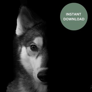 Siberian Husky Hund Druck, schwarz weiß Fotografie, Hundeliebhaber Druck, Husky Mama, Husky Papa, Siberian Husky Geschenk