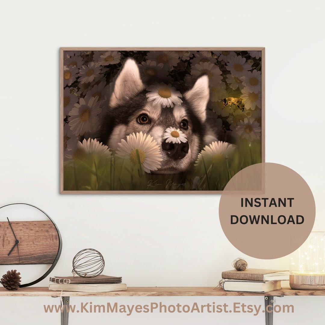Siberian Husky Wall Art, Husky Printable Wall Decor, Dog Lover Gift