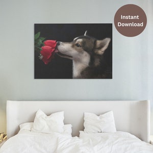 Siberian Husky Wall Art, Husky and Rose Digital Download, Printable Dog Gift, Husky Lover Art Print, Siberian Husky Photography, Dog Photo