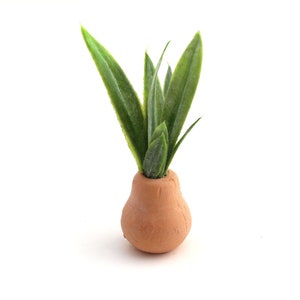 Broad Leaves in Terra Cotta Pot - Modern Miniature decor