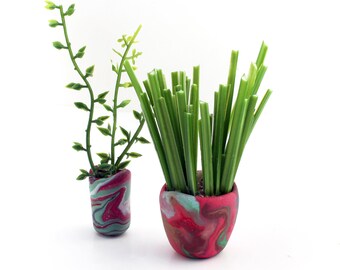 Swirled Plant Pair - Set of 2 Potted Plants - Miniature Modern decor