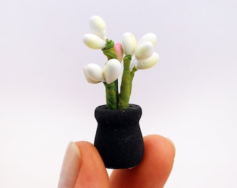 Sweet Little Bulbs in Black Pot - Miniature Modern decor