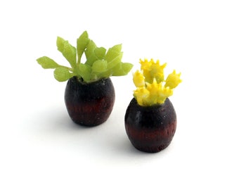 Little Garden Plant Pair - Ensemble de 2 plantes miniatures, décor de maison de poupée moderne