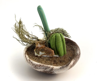 Cactus Tabletop Terrarium in Handbuilt Bowl - Modern Miniature decor