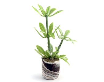 Tall, Leafy Houseplant in Swirled Pot - Miniature Modern decor